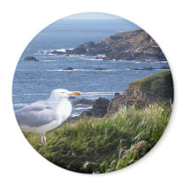 GullCoast magnets
