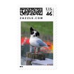 Gulldog Postage