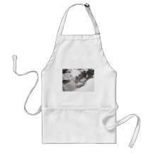 Gullfoss #2 apron