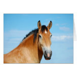 Gulliver Headshot Card