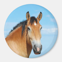 Gulliver Headshot Magnet