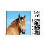 Gulliver Headshot Postage