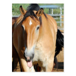 Gulliver Tongue Out Postcard