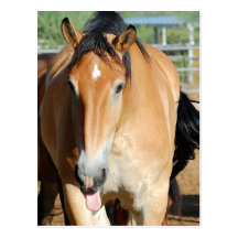Gulliver Tongue Out Postcard
