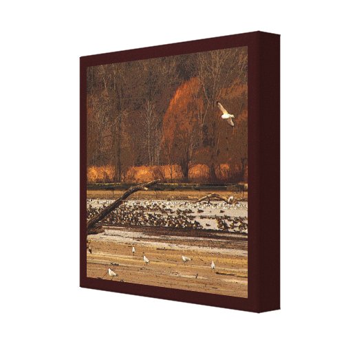 Gulls and Geese Gallery Wrapped Canvas
