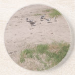 Gulls On The Beach Beverage Coaster