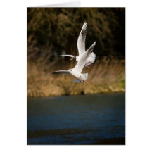 Gulls Over the Thames Notepad Cards