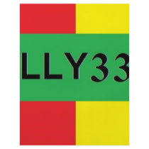 GULLY 333 flyers