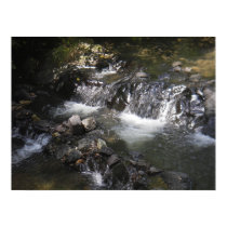 Gulpha Gorge posters