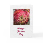 Gum Nut Blossom Greeting Card Gum Nut Blossom Greeting Card