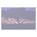 Gum tree, Outback, Australia Stationery Design