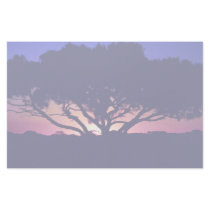 Gum tree, Outback, Australia Stationery Design