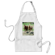 Gumpy and Limited Apron