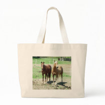 Gumpy and Limited Bags