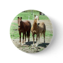 Gumpy and Limited Pinback Buttons