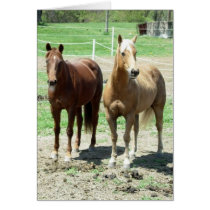Gumpy and Limited Greeting Card