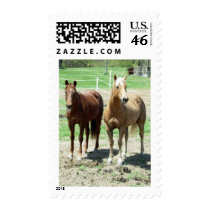 Gumpy and Limited Postage