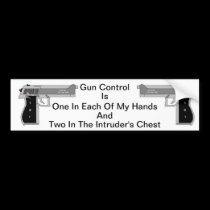 Gun Control bumper stickers