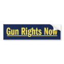 Gun Rights Now bumper stickers
