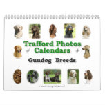 Gundog Breeds Wall Calendar
