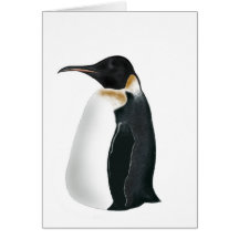 Gunter the Penguin Card