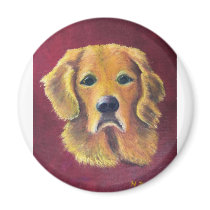 Gus the Golden Retriever Magnets