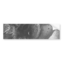 Gustave Doré - A Dove Is Sent Forth from the Ark Bumper Sticker
