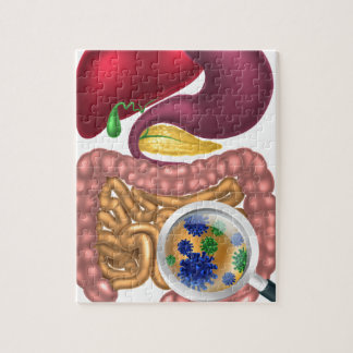 Digestive System Jigsaw Puzzles | Zazzle