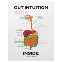 Gut Intuition Inside (Digestive System Humor) letterhead by wordsunwords Gut Intuition Inside (Digestive System Humor) letterhead