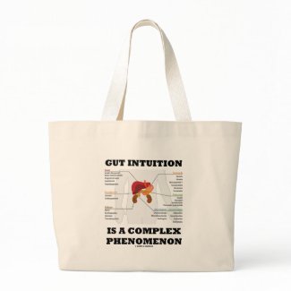 Gut Intuition Is A Complex Phenomenon (Endocrine) bag