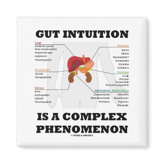 Gut Intuition Is A Complex Phenomenon (Endocrine) magnet