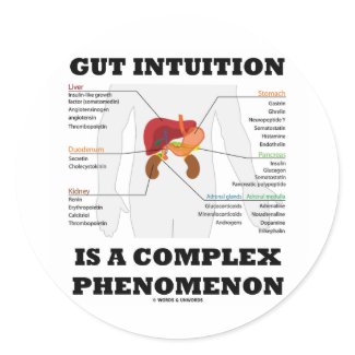 Gut Intuition Is A Complex Phenomenon (Endocrine) sticker