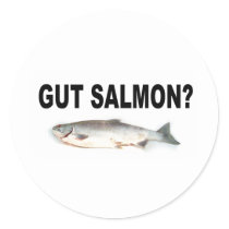 Funny Stickersshirts on Gut Salmon  Funny Fishing T Shirts And Stickers  Stickers By
