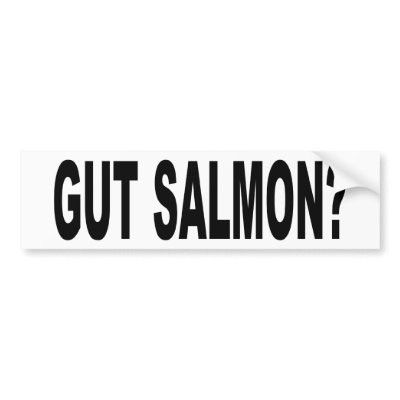 Funny Stickers Shirts on Gut Salmon  Funny Fishing T Shirts And Stickers  Bumper Stickers From