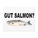 Gut Salmon? Funny Fishing T-Shirts and Stickers! postcards