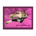 Gute Besserung! Post Cards