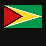 Guyana Flag Map Spaghetti Top