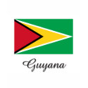 Guyana Flag Design t-shirts