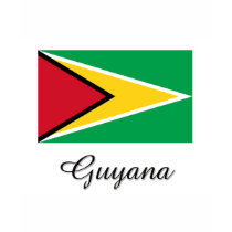 Guyana Flag Design t-shirts by flagshirt Guyana Flag Design t-shirts