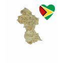 Guyana Flag Heart and Map T-Shirt