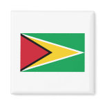 Guyana FLAG International magnets