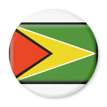 Guyana Flag Refrigerator Magnets