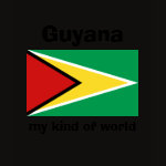 Guyana Flag Map Text Ladies Baby Doll