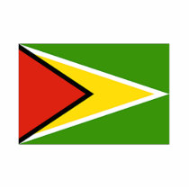 Guyana flag photo sculptures