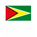 Guyana Flag T-shirt by FlagTshirts Guyana Flag T-shirt