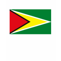 Guyana Flag T-shirt by FlagTshirts Guyana Flag T-shirt