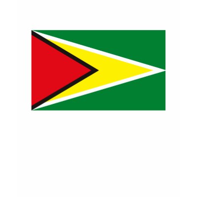 Guyana Flag T-shirt by FlagTshirts