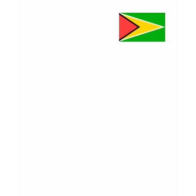 Guyana Flag Shirt by CulturalPerspective3