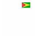 Guyana Flag t-shirts
