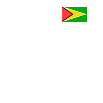 Guyana Flag t-shirts by CulturalPerspective3 Guyana Flag t-shirts